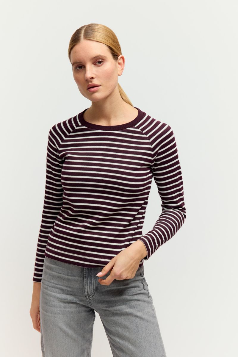 Striped Raglan Pullover