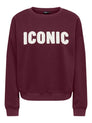 ONLSWEAT LIFE L/S CREW O.SIZE STATE NOOS