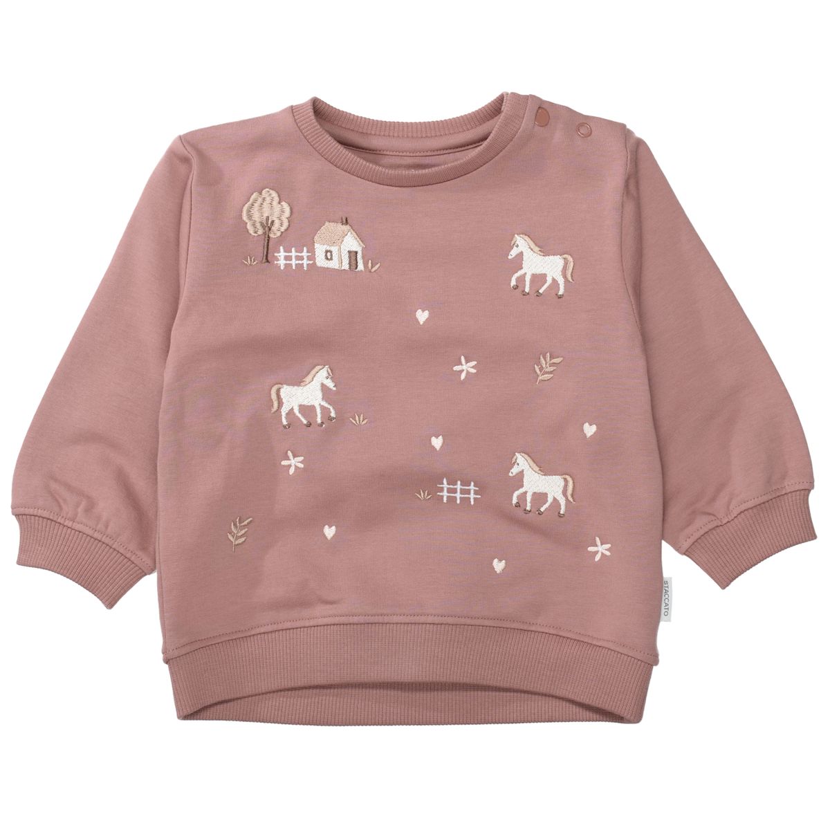 Md.-Sweatshirt