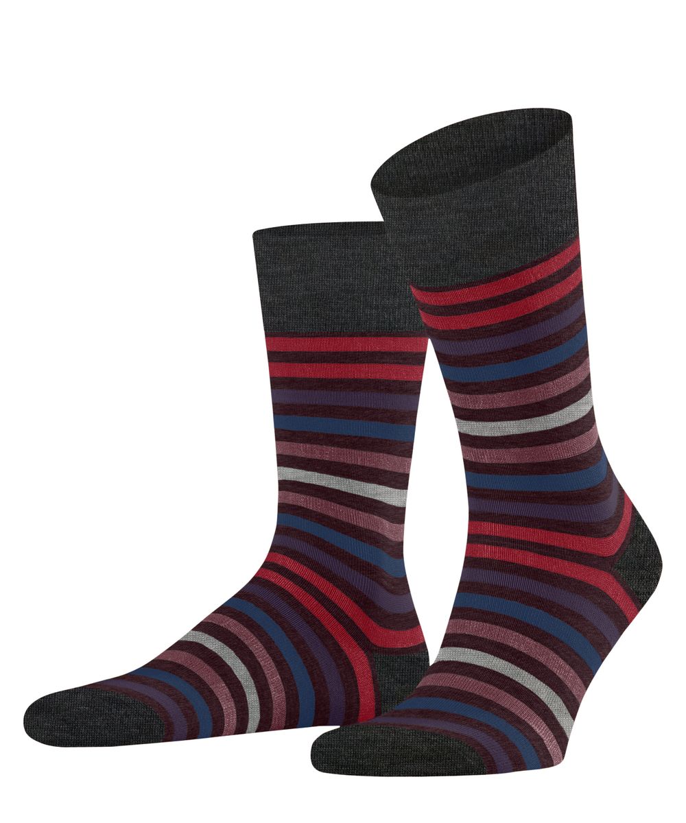 FALKE Tinted Stripe Herren