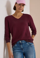 Pullover im Two-Tone-Look mit V-Neck
