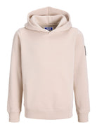 JJCLEVELAND SWEAT HOOD SN JNR
