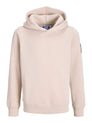 JJCLEVELAND SWEAT HOOD SN JNR