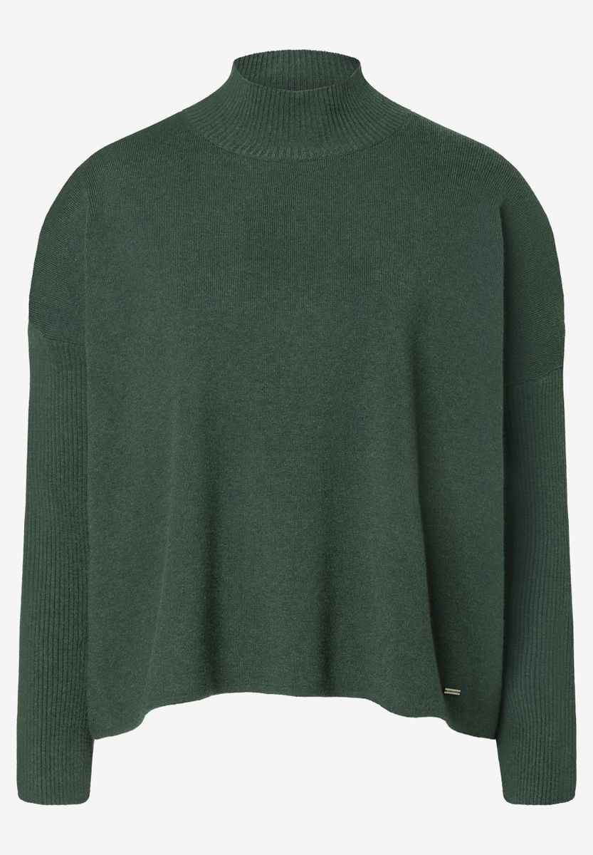 Pullover mit Turtleneck